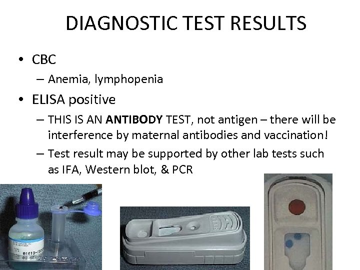 DIAGNOSTIC TEST RESULTS • CBC – Anemia, lymphopenia • ELISA positive – THIS IS