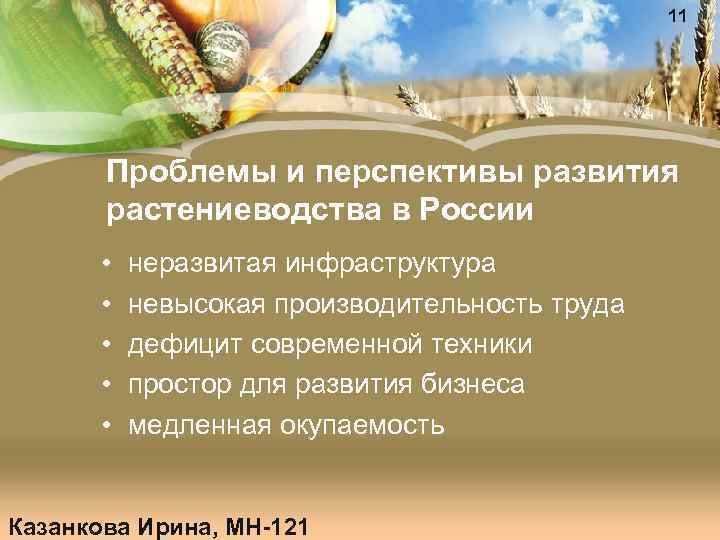 11 Проблемы и перспективы развития растениеводства в России • • • неразвитая инфраструктура невысокая