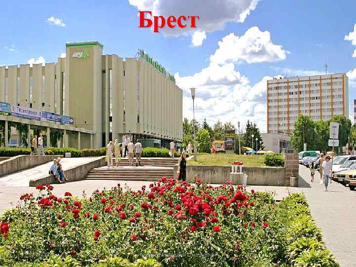 Брест • 11. 02. 2018 Карчава Геннадий Омариевич 24 