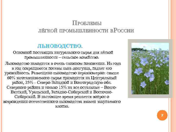 ПРОБЛЕМЫ ЛЁГКОЙ ПРОМЫШЛЕННОСТИ В РОССИИ ЛЬНОВОДСТВО. Основной поставщик натурального сырья для лёгкой промышленности –