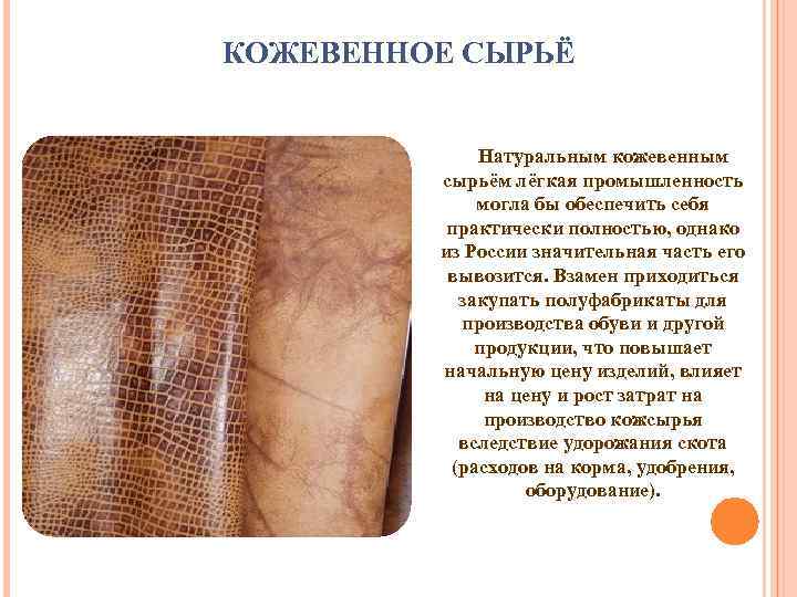 КОЖЕВЕННОЕ СЫРЬЁ Натуральным кожевенным сырьём лёгкая промышленность могла бы обеспечить себя практически полностью, однако