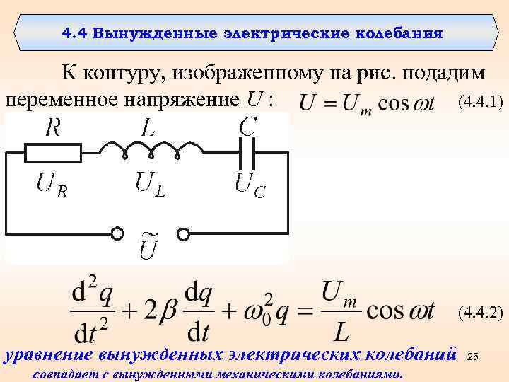 К процессу изображенному на рисунке змеи готовятся довольно долго они начинают беспокоиться ответ