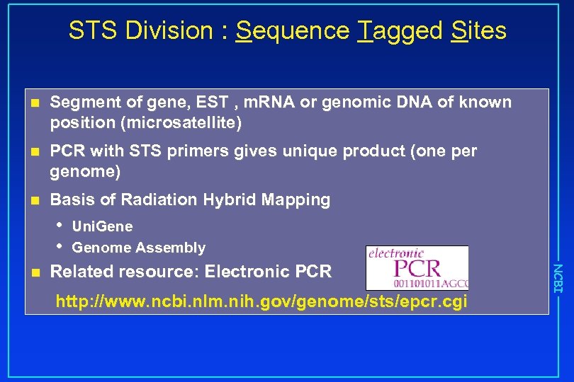 STS Division : Sequence Tagged Sites n Segment of gene, EST , m. RNA