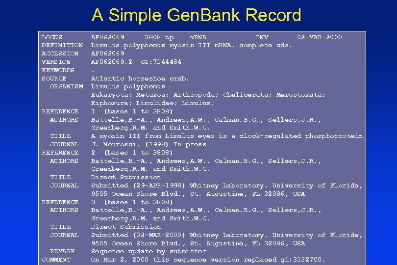 A Simple Gen. Bank Record LOCUS DEFINITION ACCESSION VERSION KEYWORDS SOURCE ORGANISM REFERENCE AUTHORS