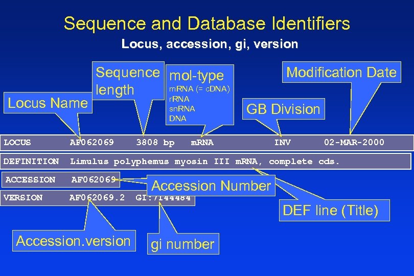 Sequence and Database Identifiers Locus, accession, gi, version Locus Name Sequence mol-type m. RNA