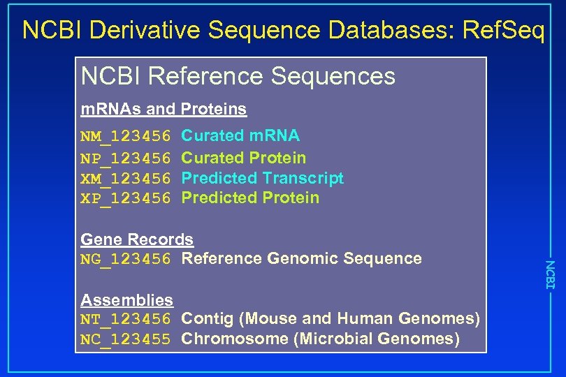 NCBI Derivative Sequence Databases: Ref. Seq NCBI Reference Sequences m. RNAs and Proteins NM_123456