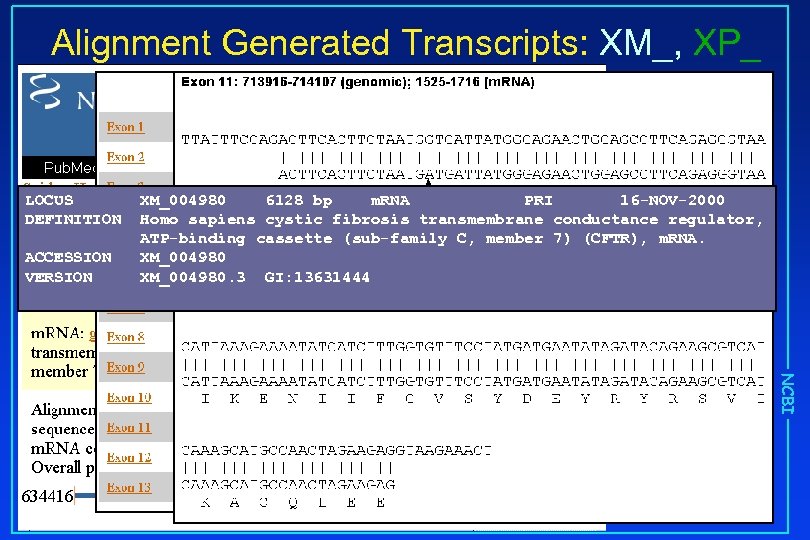 Alignment Generated Transcripts: XM_, XP_ LOCUS DEFINITION ACCESSION VERSION XM_004980 6128 bp m. RNA