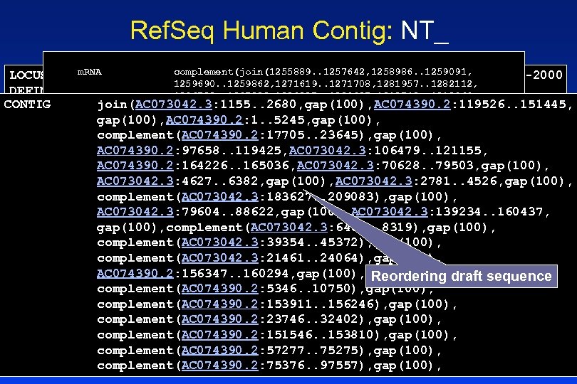 Ref. Seq Human Contig: NT_ m. RNA complement(join(1255889. . 1257642, 1258986. . 1259091, 16