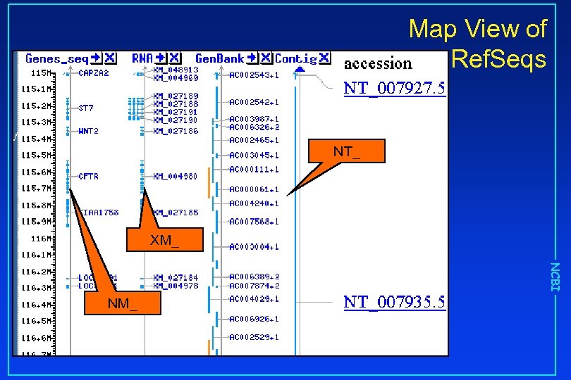 Map View of Ref. Seqs NT_ XM_ NCBI NM_ 