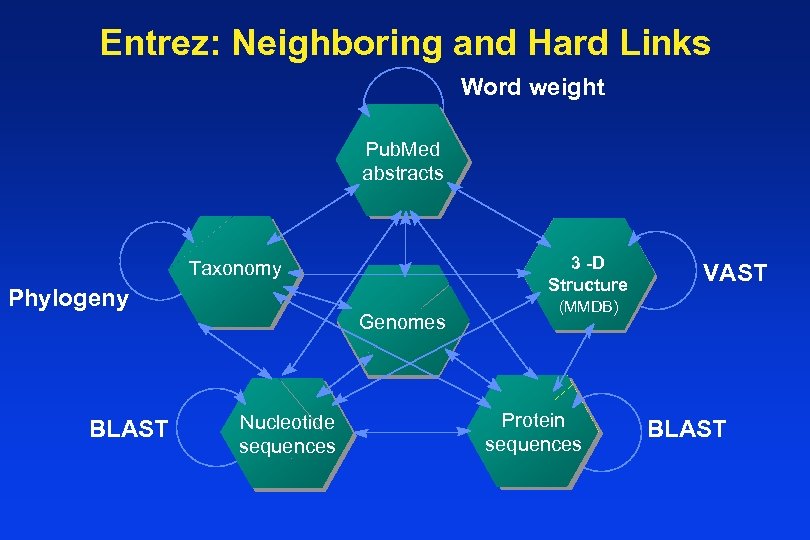 Entrez: Neighboring and Hard Links Word weight Pub. Med abstracts 3 -D 3 -D