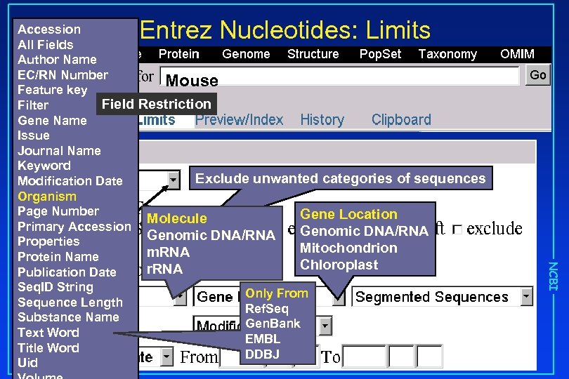 Entrez Nucleotides: Limits Mouse Restriction Exclude unwanted categories of sequences Molecule Genomic DNA/RNA m.