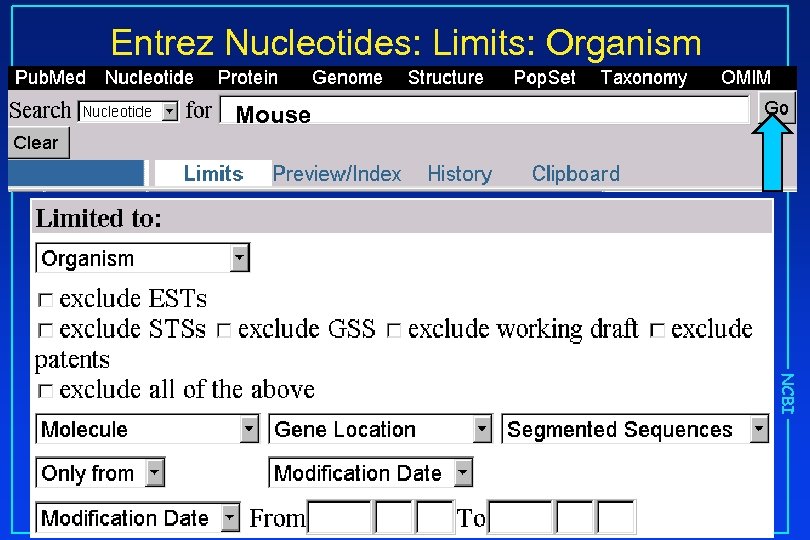 Entrez Nucleotides: Limits: Organism Mouse NCBI 