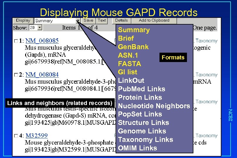 Displaying Mouse GAPD Records NCBI Summary Brief Gen. Bank ASN. 1 Formats FASTA GI