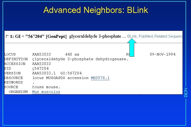 Advanced Neighbors: BLink NCBI 