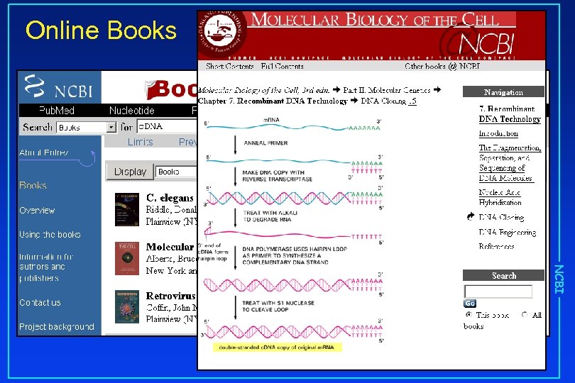 Online Books NCBI 