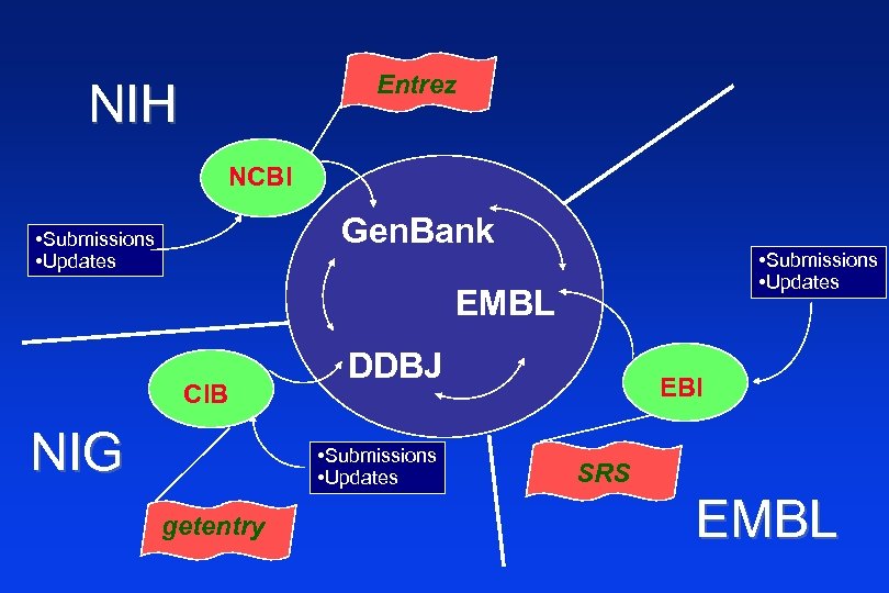 Entrez NIH NCBI Gen. Bank • Submissions • Updates EMBL CIB NIG DDBJ •