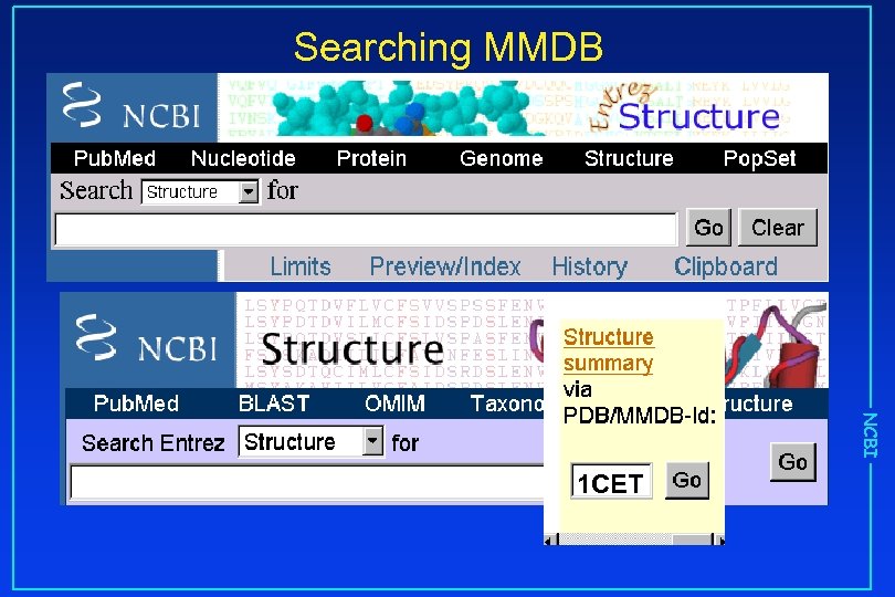 Searching MMDB NCBI 1 CET 