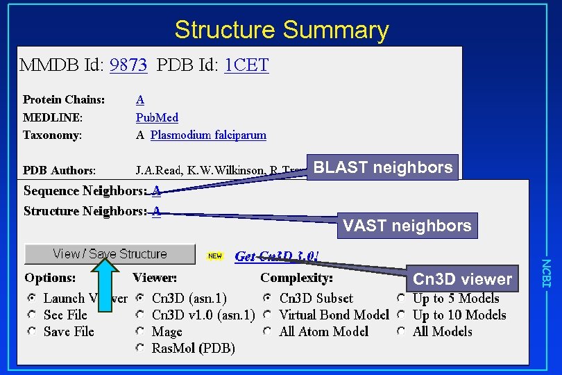 Structure Summary BLAST neighbors VAST neighbors NCBI Cn 3 D viewer 
