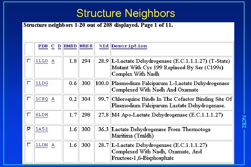 Structure Neighbors NCBI 