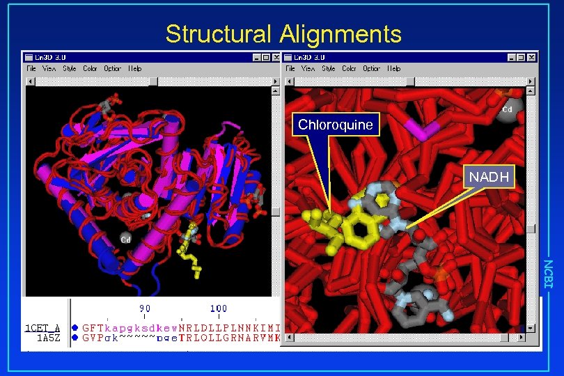 Structural Alignments Chloroquine NADH NCBI 