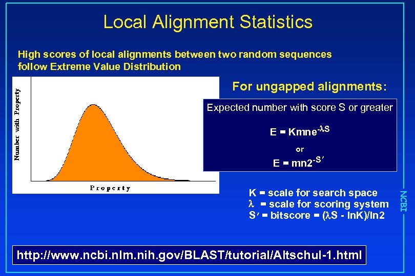 Local Alignment Statistics High scores of local alignments between two random sequences follow Extreme