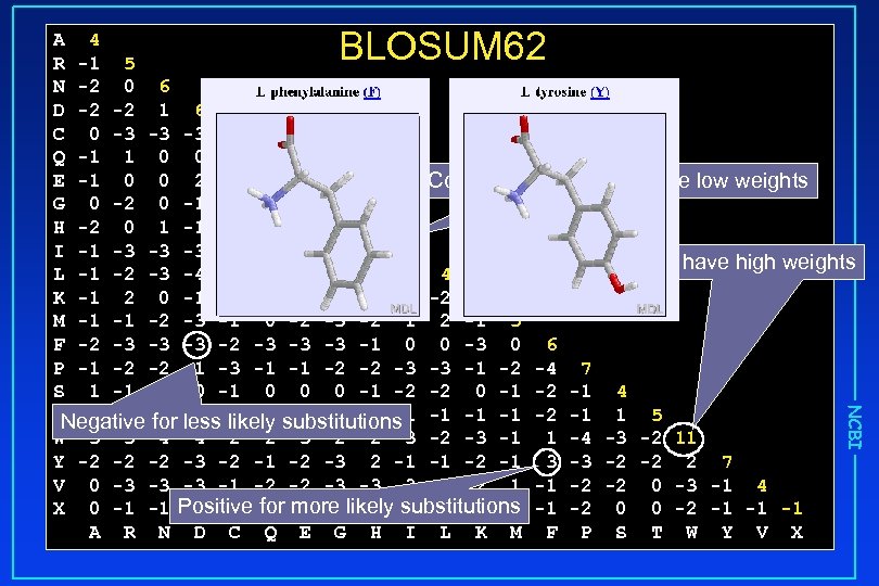 BLOSUM 62 NCBI A 4 R -1 5 N -2 0 6 D -2