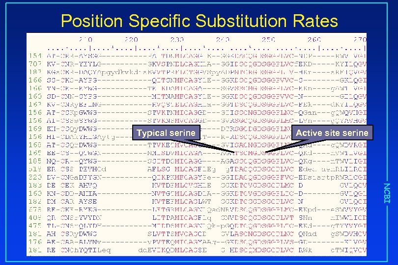 Position Specific Substitution Rates Typical serine Active site serine NCBI 