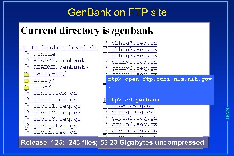 Gen. Bank on FTP site ftp> open ftp. ncbi. nlm. nih. gov. . ftp>