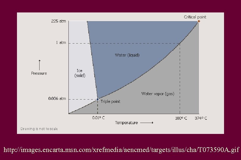http: //images. encarta. msn. com/xrefmedia/aencmed/targets/illus/cha/T 073590 A. gif 