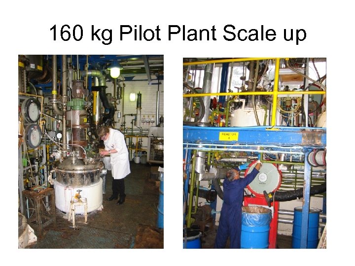 160 kg Pilot Plant Scale up 