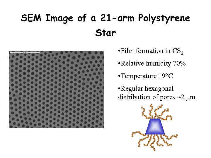 SEM Image of a 21 -arm Polystyrene Star • Film formation in CS 2
