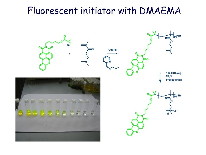 Fluorescent initiator with DMAEMA 