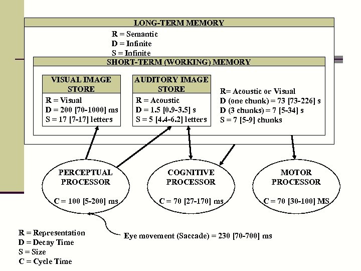 LONG-TERM MEMORY R = Semantic D = Infinite SHORT-TERM (WORKING) MEMORY VISUAL IMAGE STORE