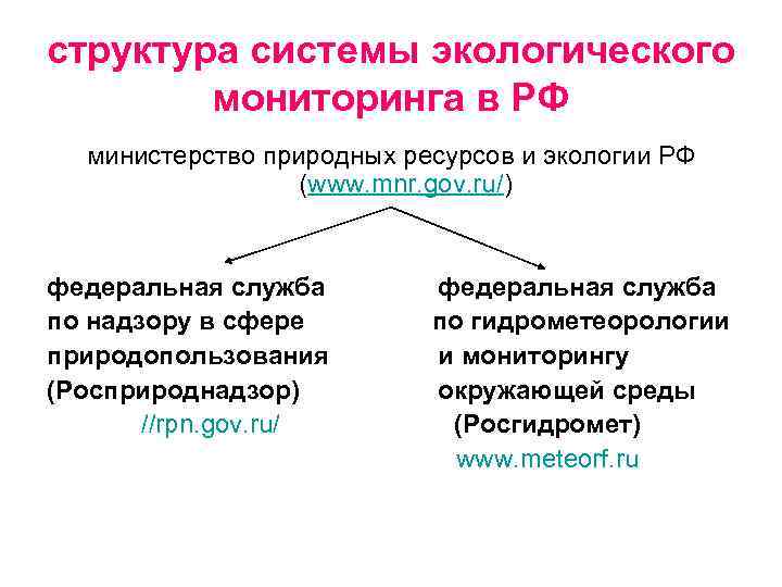 структура системы экологического мониторинга в РФ министерство природных ресурсов и экологии РФ (www. mnr.