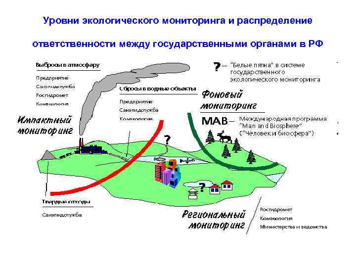 Уровни экологического мониторинга схема