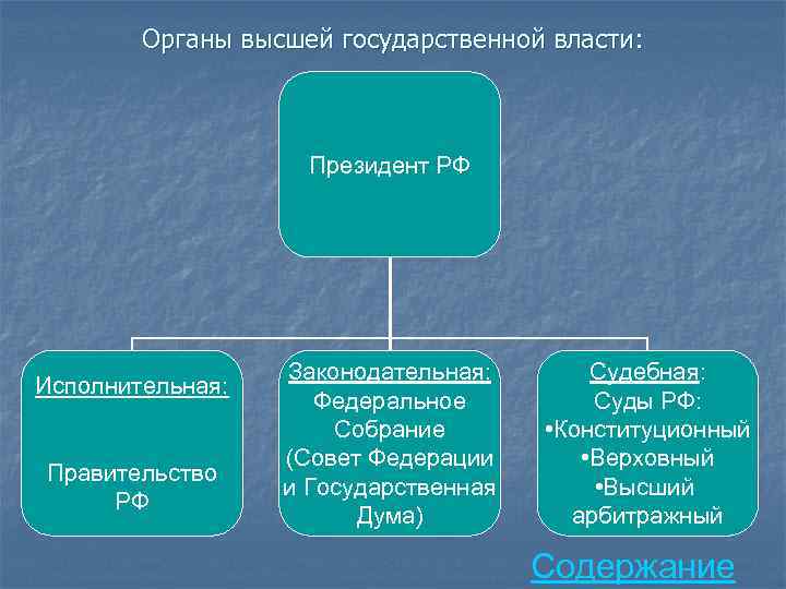 Органы высшей государственной власти: Президент РФ Исполнительная: Правительство РФ Законодательная: Федеральное Собрание (Совет Федерации