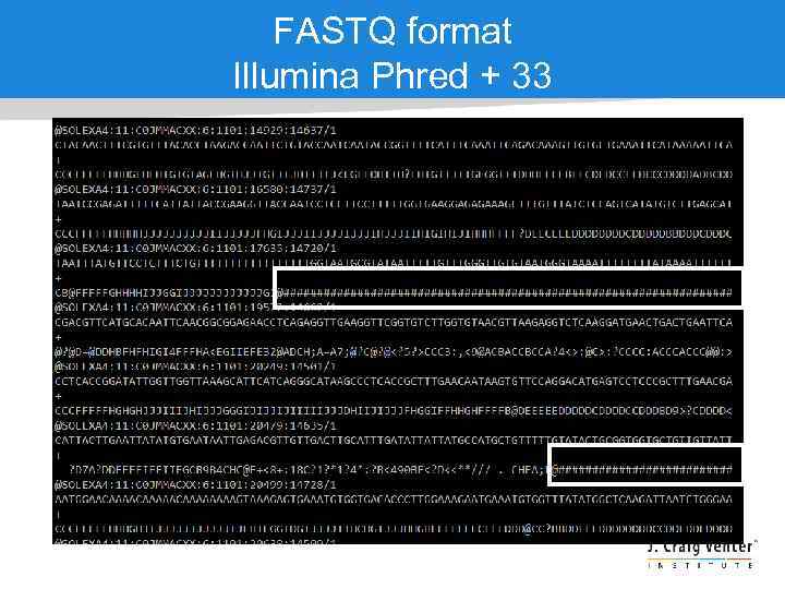 FASTQ format Illumina Phred + 33 