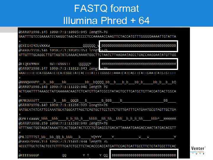 FASTQ format Illumina Phred + 64 