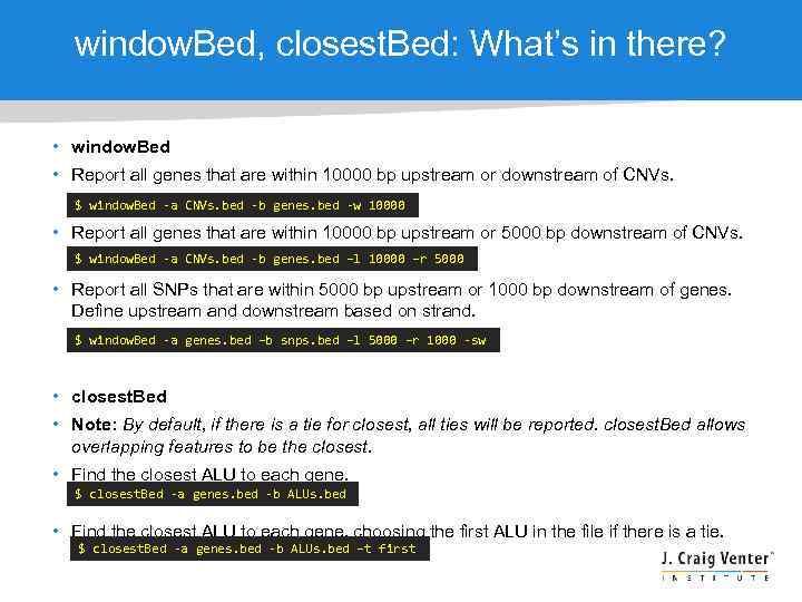 window. Bed, closest. Bed: What’s in there? • window. Bed • Report all genes