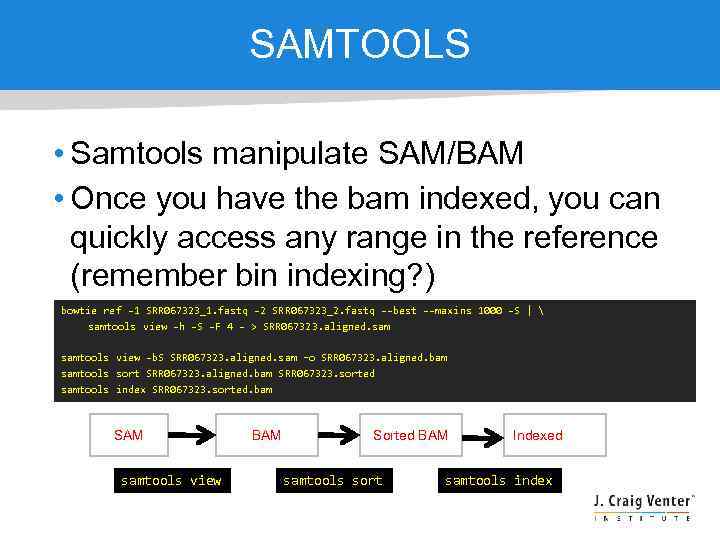 SAMTOOLS • Samtools manipulate SAM/BAM • Once you have the bam indexed, you can