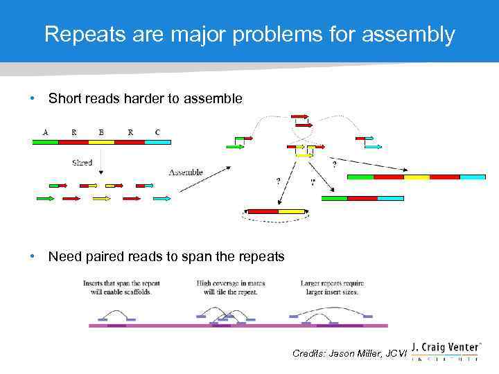 Repeats are major problems for assembly • Short reads harder to assemble • Need