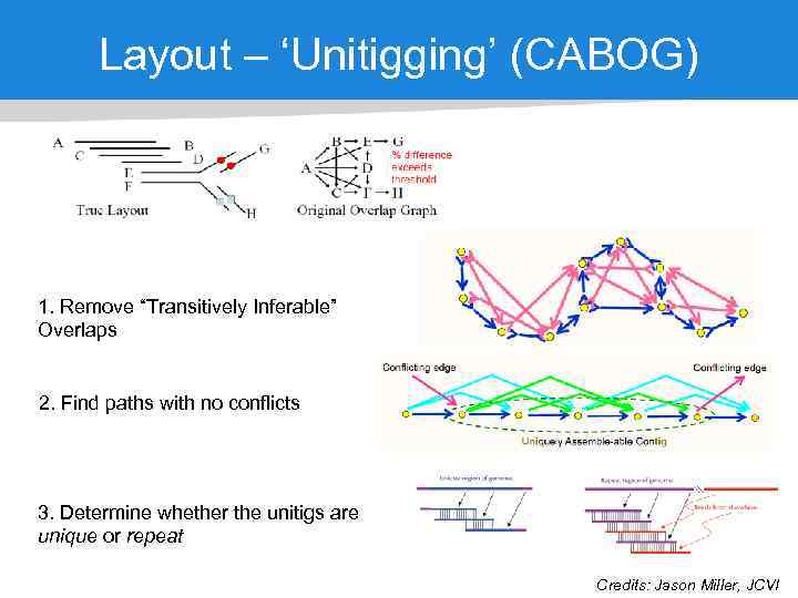 Layout – ‘Unitigging’ (CABOG) 1. Remove “Transitively Inferable” Overlaps 2. Find paths with no