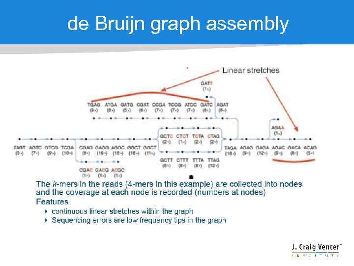 de Bruijn graph assembly 