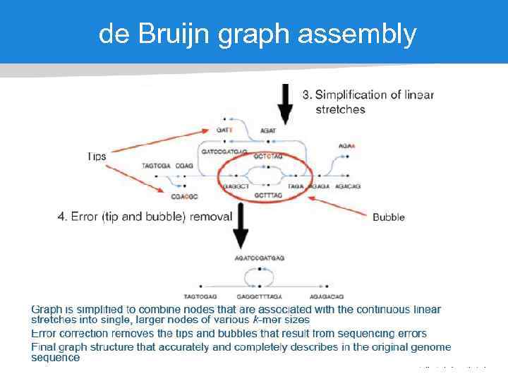 de Bruijn graph assembly 