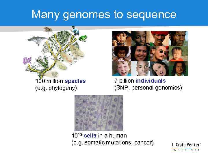 Many genomes to sequence 100 million species (e. g. phylogeny) 7 billion individuals (SNP,