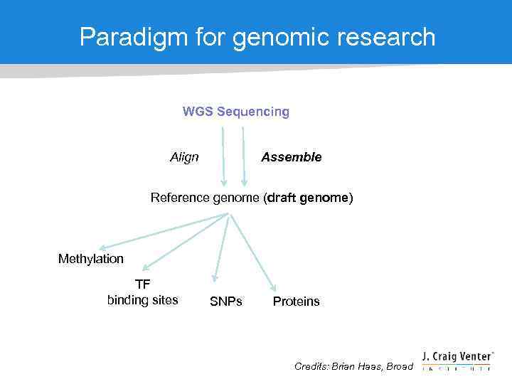 Paradigm for genomic research WGS Sequencing Align Assemble Reference genome (draft genome) Methylation TF