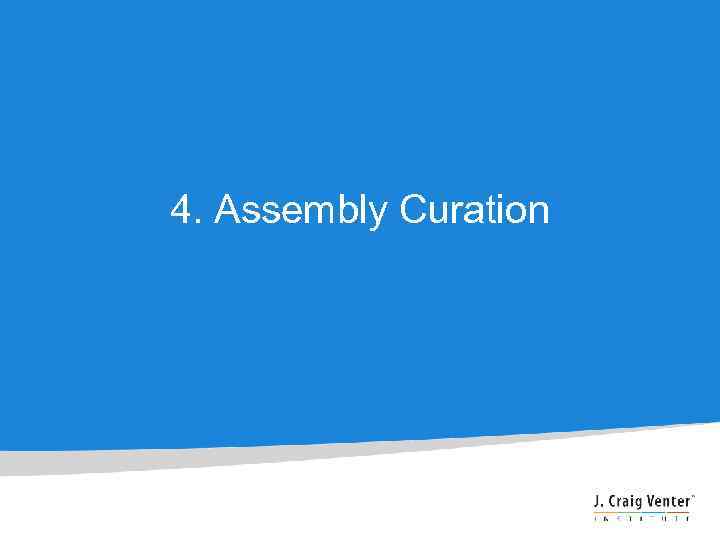 4. Assembly Curation 