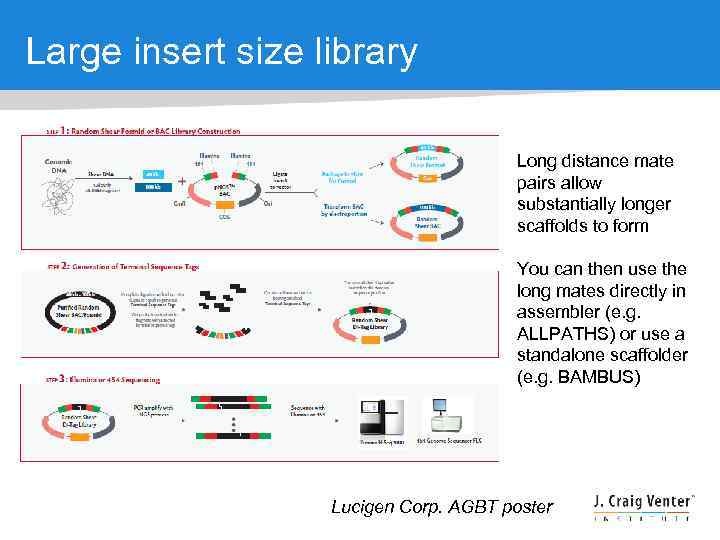 Large insert size library Long distance mate pairs allow substantially longer scaffolds to form