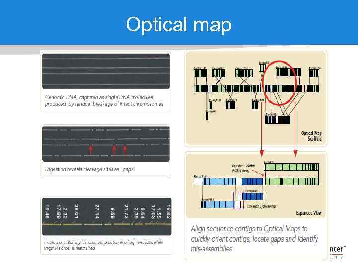 Optical map 