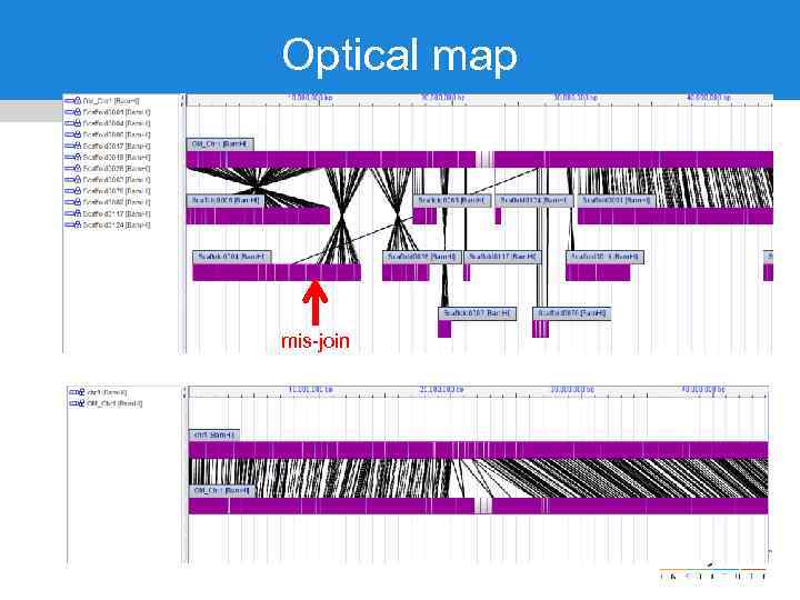 Optical map mis-join 